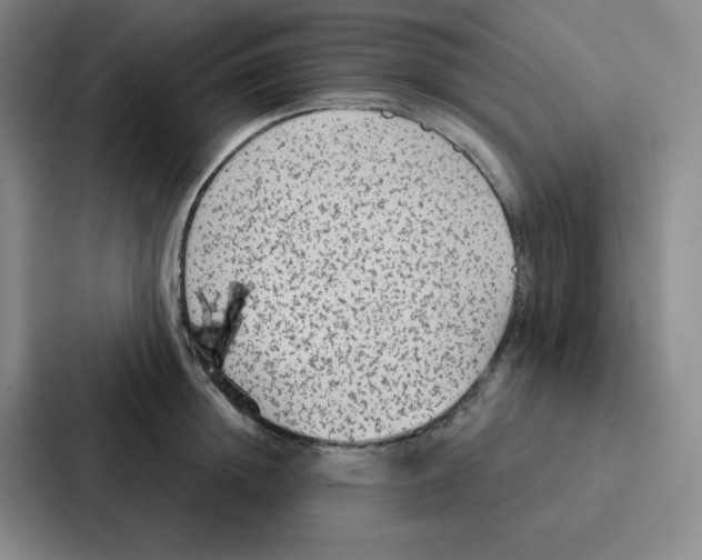 X0000086950852200705141820