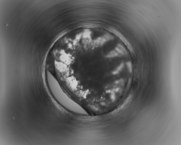 X0000086950853200705141821