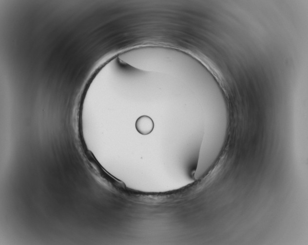 X0000086950854200705141821