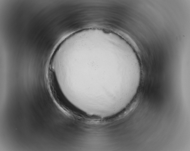 X0000086950855200705141821