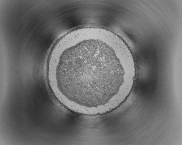 X0000086950856200705141821