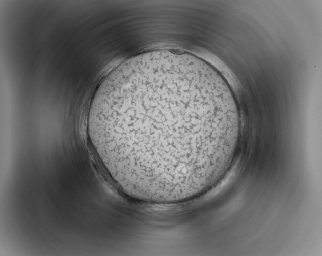 X0000086950857200705141821