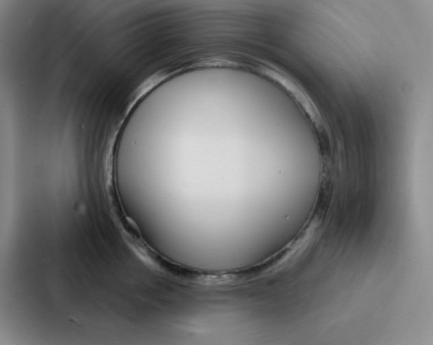 X0000086950858200705141821