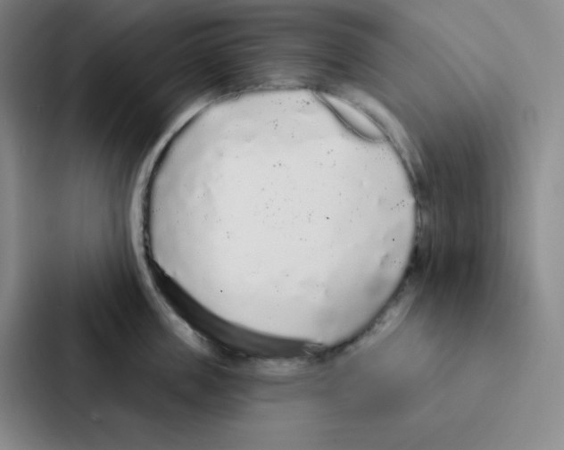 X0000086950859200705141821