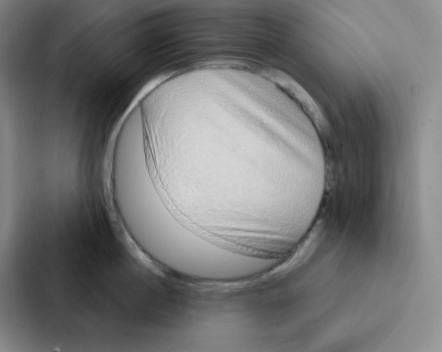 X0000086950860200705141821