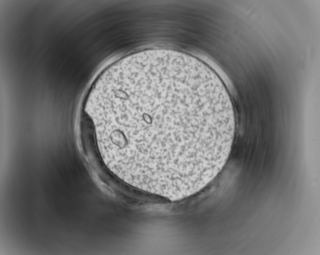 X0000086950861200705141821