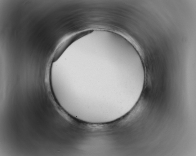 X0000086950862200705141821