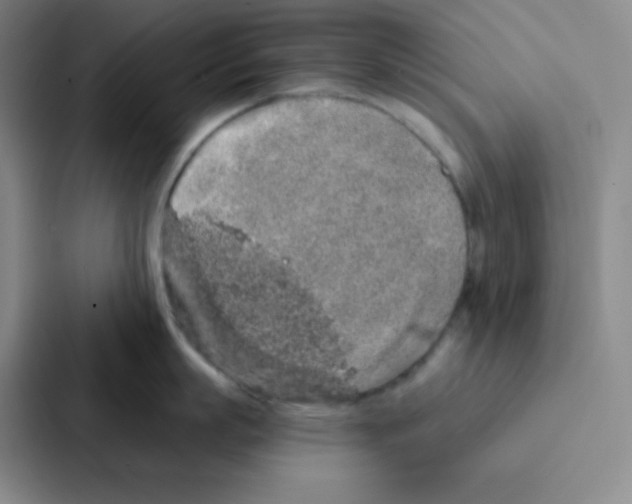 X0000086950863200705141821