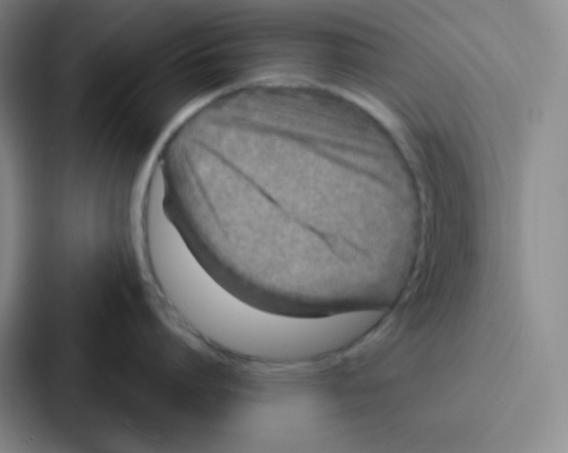 X0000086950864200705141821