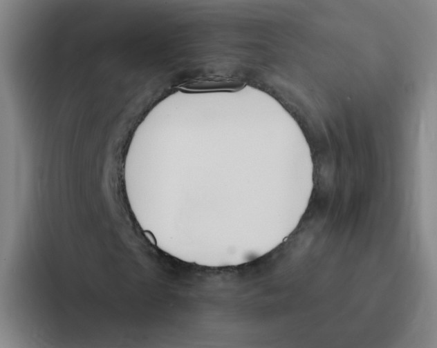 X0000086950865200705141820