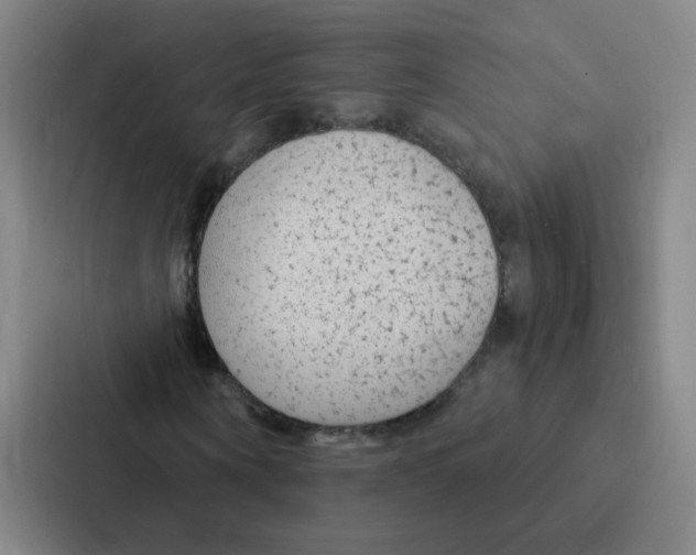 X0000086950866200705141820