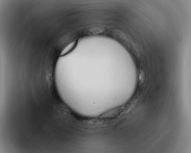 X0000086950867200705141820