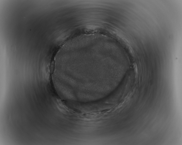 X0000086950868200705141820