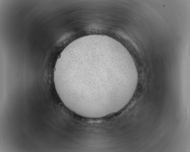 X0000086950870200705141820