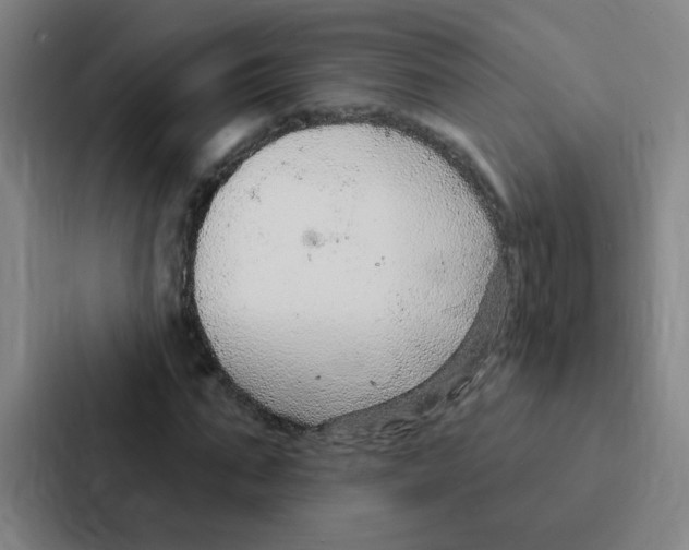 X0000086950871200705141820