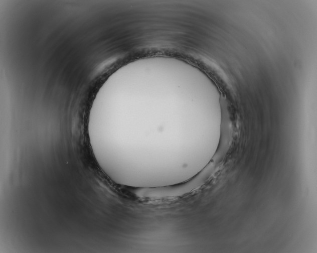 X0000086950872200705141820