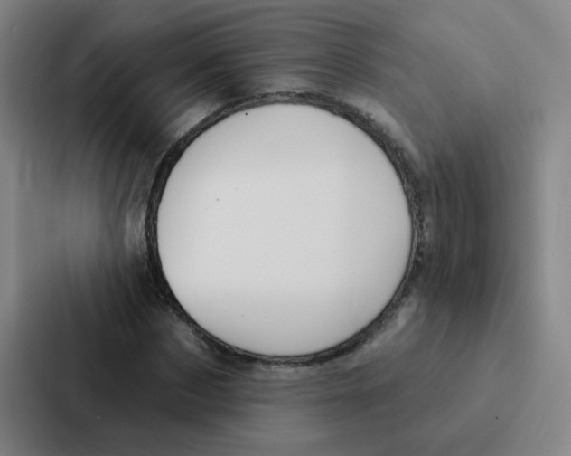 X0000086950873200705141820