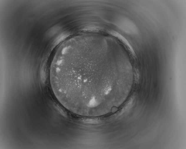 X0000086950874200705141820