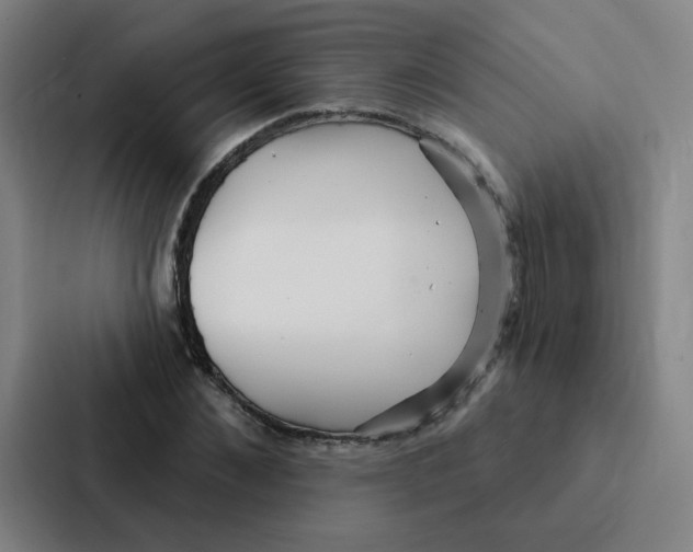 X0000086950876200705141820