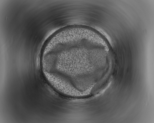 X0000086950877200705141820