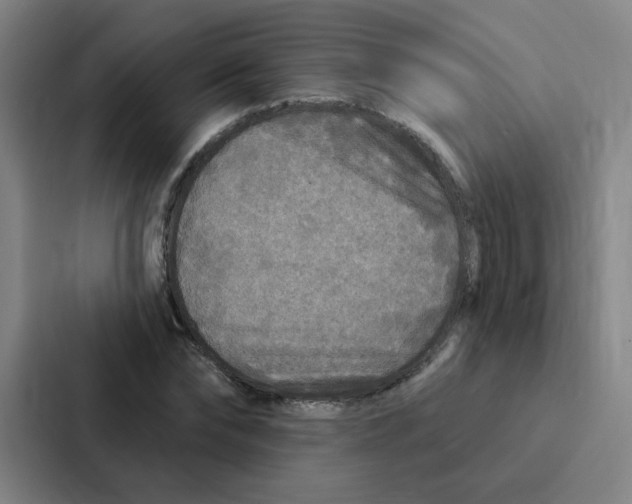 X0000086950878200705141820