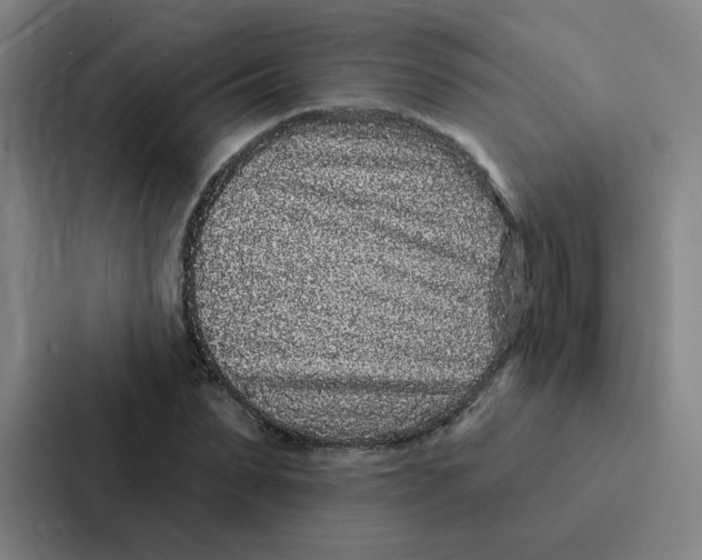 X0000086950879200705141820