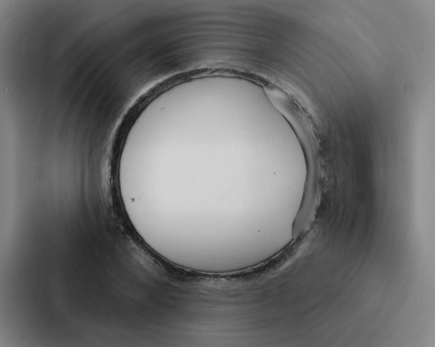 X0000086950880200705141820