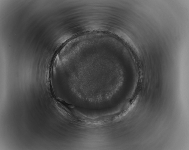 X0000086950881200705141820