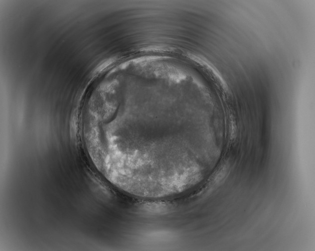 X0000086950882200705141820