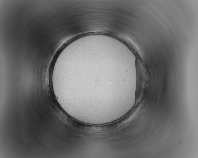 X0000086950883200705141820