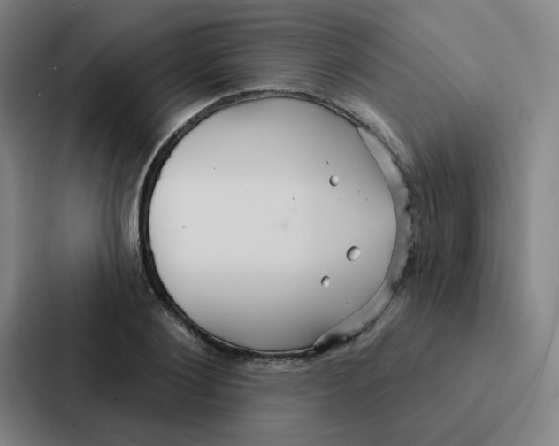 X0000086950884200705141820