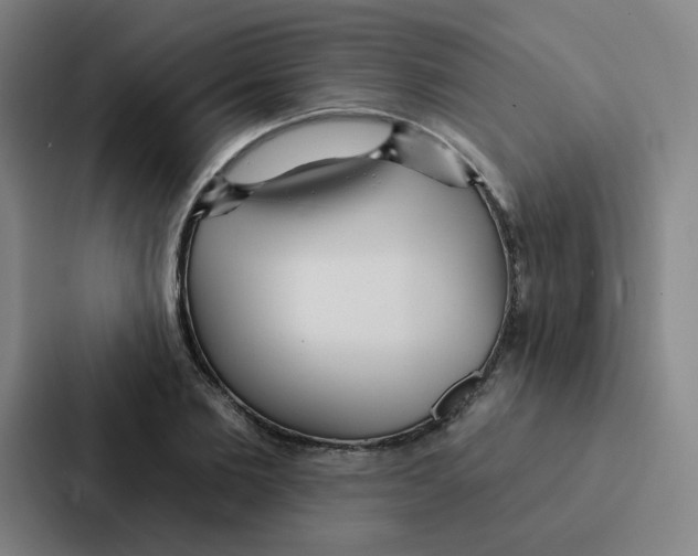 X0000086950885200705141820