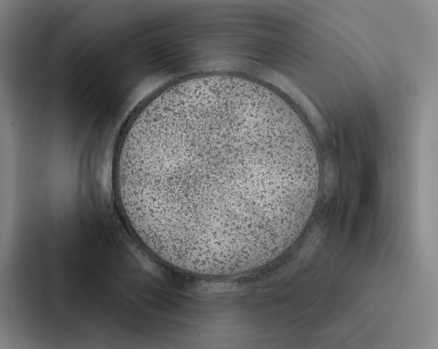 X0000086950886200705141820