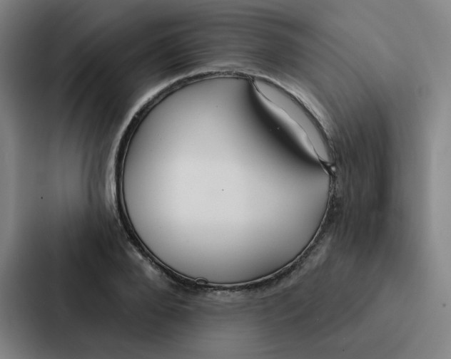 X0000086950888200705141820