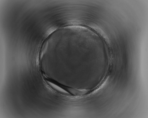 X0000086950889200705141820