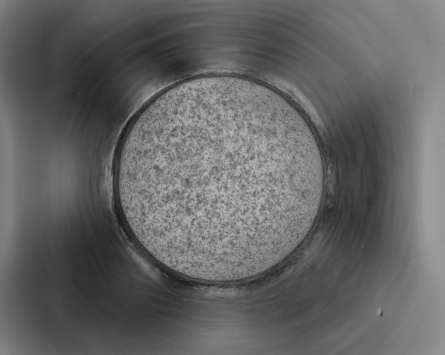 X0000086950890200705141820