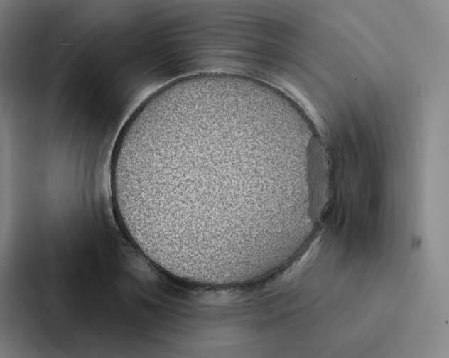 X0000086950891200705141820