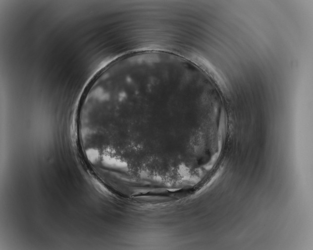 X0000086950892200705141820