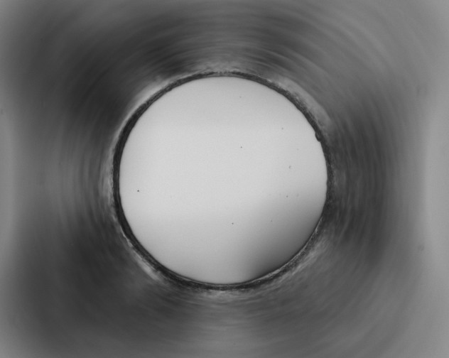 X0000086950894200705141820