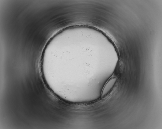 X0000086950895200705141820