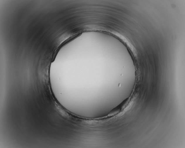 X0000086950897200705141820