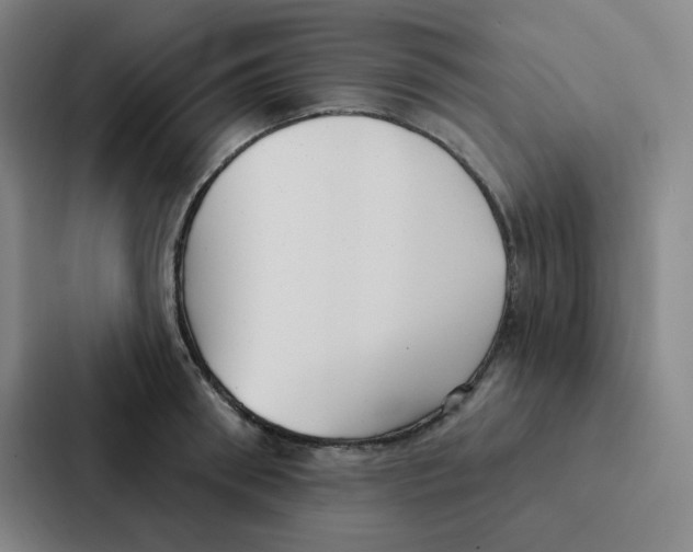 X0000086950898200705141820