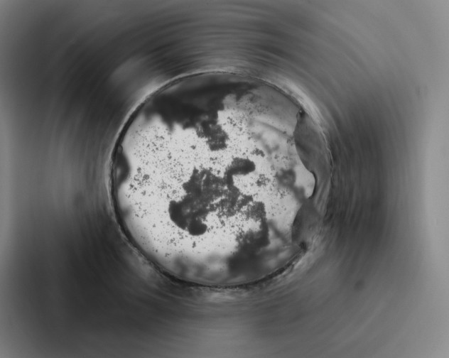 X0000086950899200705141820