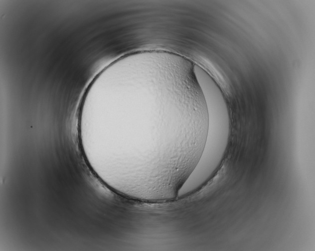 X0000086950900200705141820