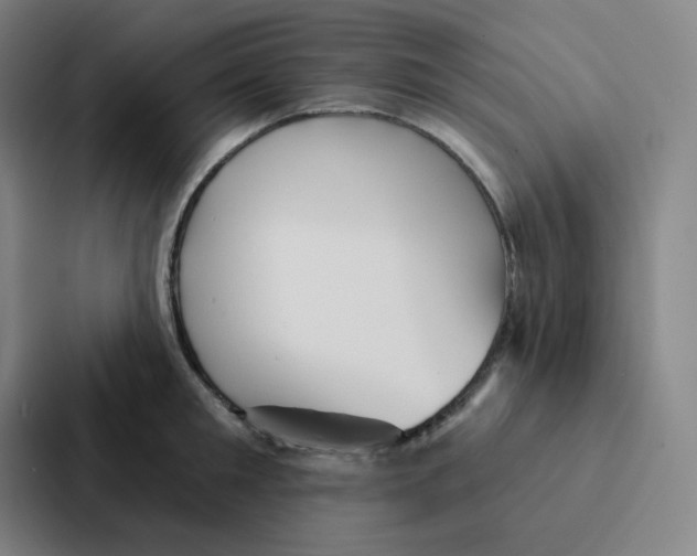 X0000086950901200705141820