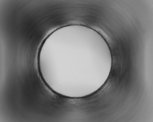 X0000086950902200705141820