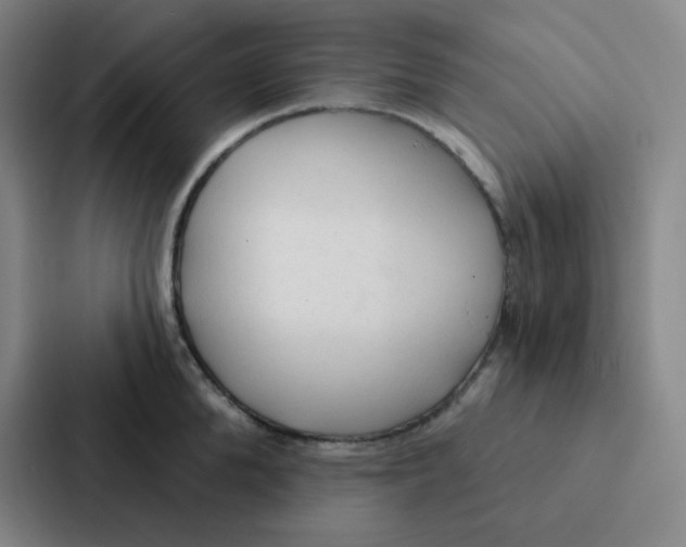 X0000086950904200705141820