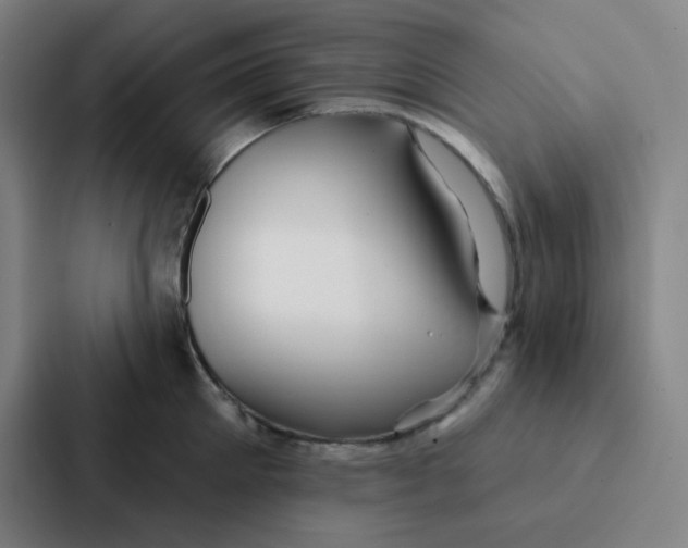 X0000086950905200705141820