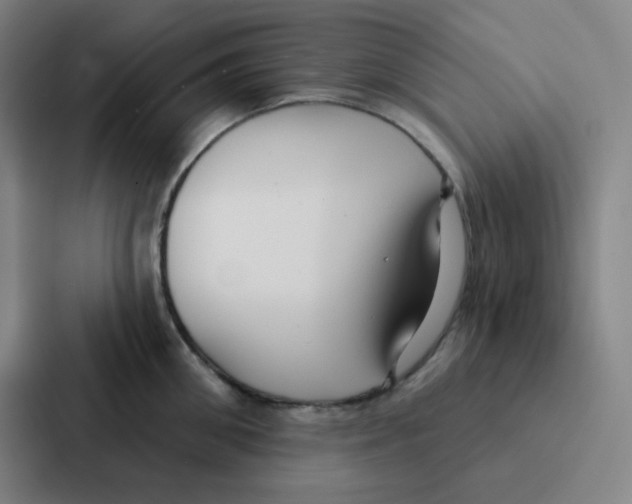 X0000086950906200705141819