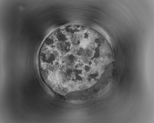 X0000086950907200705141819